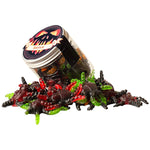 Tarantulas im Tiegel (180g) mit Banderole!